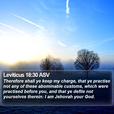 Leviticus 18:30 ASV Bible Verse Image