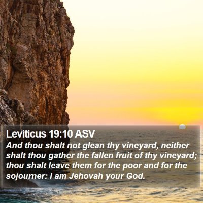 Leviticus 19:10 ASV Bible Verse Image