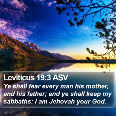 Leviticus 19:3 ASV Bible Verse Image
