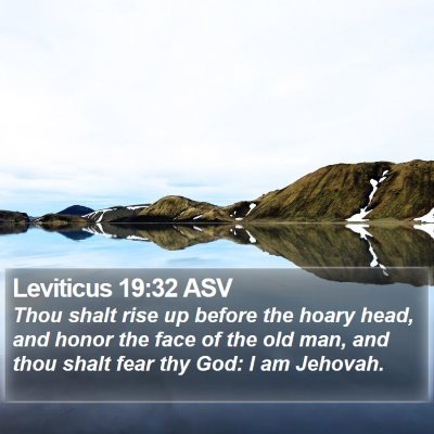 Leviticus 19:32 ASV Bible Verse Image