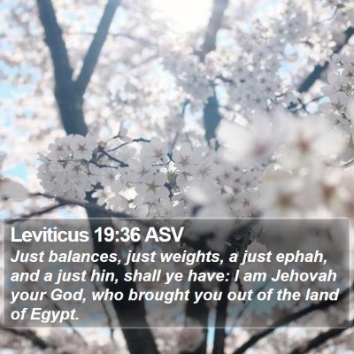 Leviticus 19:36 ASV Bible Verse Image