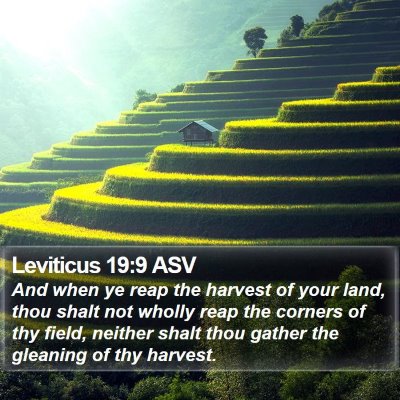 Leviticus 19:9 ASV Bible Verse Image