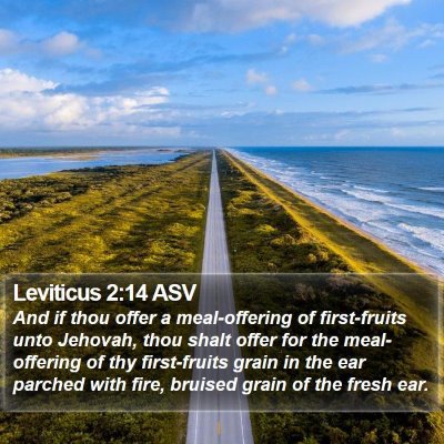 Leviticus 2:14 ASV Bible Verse Image