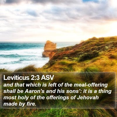 Leviticus 2:3 ASV Bible Verse Image