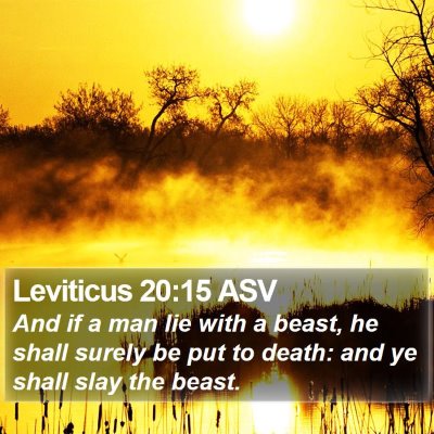 Leviticus 20:15 ASV Bible Verse Image