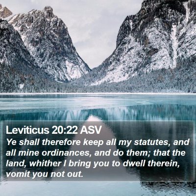 Leviticus 20:22 ASV Bible Verse Image