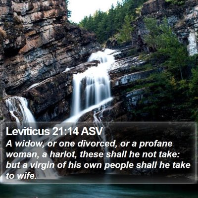 Leviticus 21:14 ASV Bible Verse Image