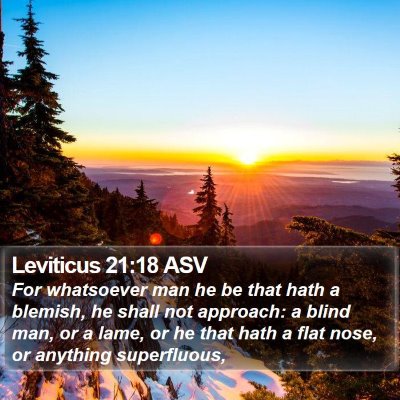 Leviticus 21:18 ASV Bible Verse Image