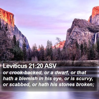 Leviticus 21:20 ASV Bible Verse Image