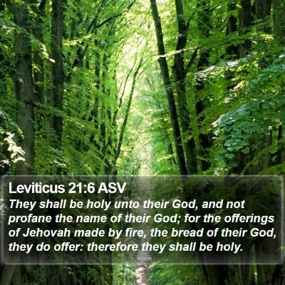 Leviticus 21:6 ASV Bible Verse Image