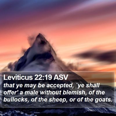 Leviticus 22:19 ASV Bible Verse Image