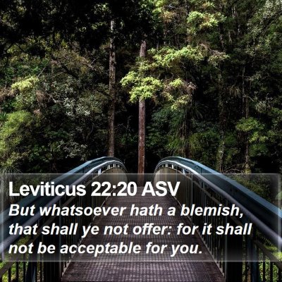 Leviticus 22:20 ASV Bible Verse Image