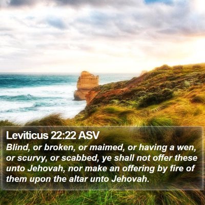 Leviticus 22:22 ASV Bible Verse Image