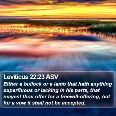 Leviticus 22:23 ASV Bible Verse Image
