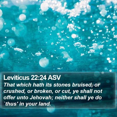 Leviticus 22:24 ASV Bible Verse Image