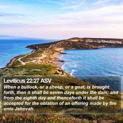 Leviticus 22:27 ASV Bible Verse Image