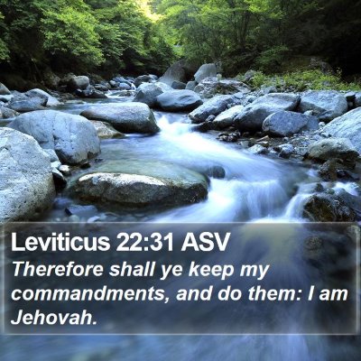 Leviticus 22:31 ASV Bible Verse Image