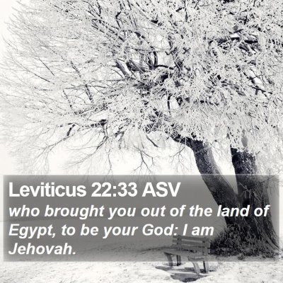 Leviticus 22:33 ASV Bible Verse Image