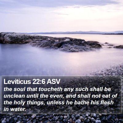 Leviticus 22:6 ASV Bible Verse Image