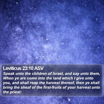 Leviticus 23:10 ASV Bible Verse Image