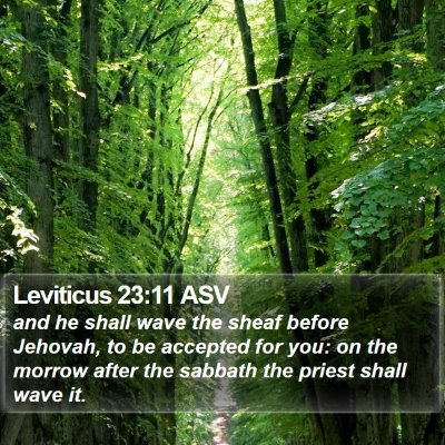 Leviticus 23:11 ASV Bible Verse Image