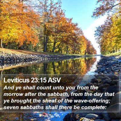 Leviticus 23:15 ASV Bible Verse Image