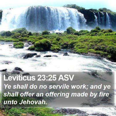 Leviticus 23:25 ASV Bible Verse Image