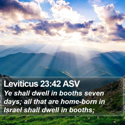 Leviticus 23:42 ASV Bible Verse Image