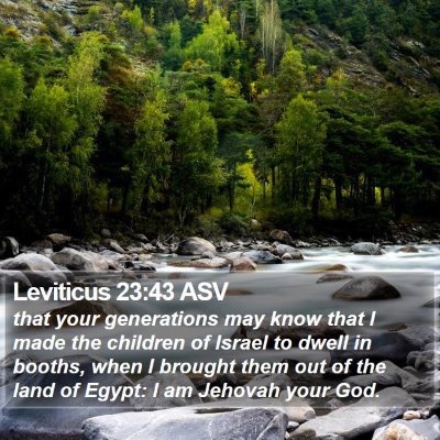 Leviticus 23:43 ASV Bible Verse Image