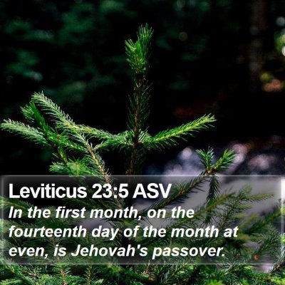 Leviticus 23:5 ASV Bible Verse Image