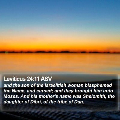 Leviticus 24:11 ASV Bible Verse Image