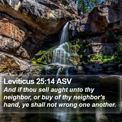 Leviticus 25:14 ASV Bible Verse Image