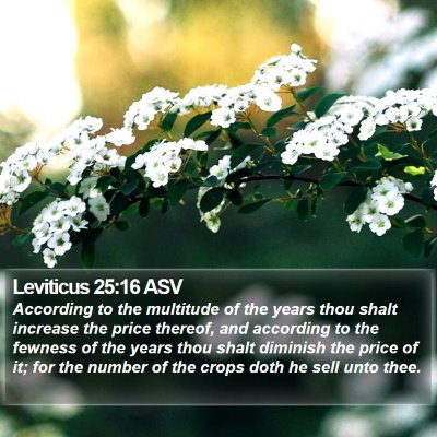 Leviticus 25:16 ASV Bible Verse Image