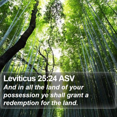 Leviticus 25:24 ASV Bible Verse Image