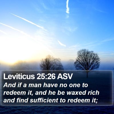 Leviticus 25:26 ASV Bible Verse Image