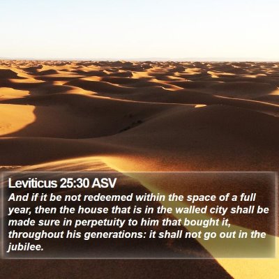 Leviticus 25:30 ASV Bible Verse Image