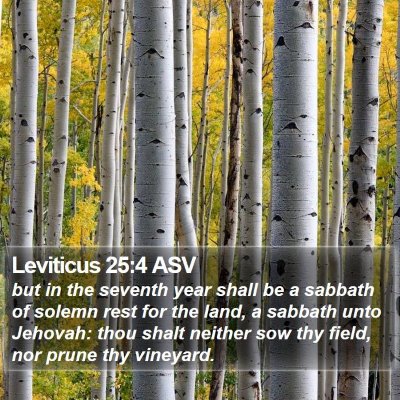 Leviticus 25:4 ASV Bible Verse Image