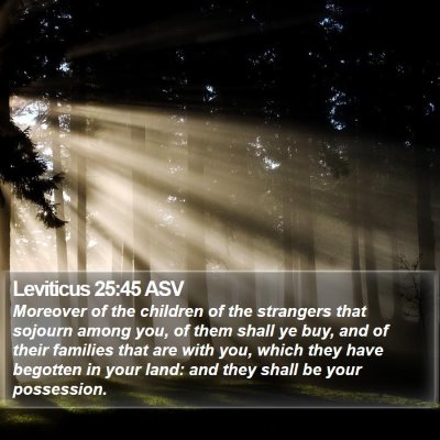 Leviticus 25:45 ASV Bible Verse Image