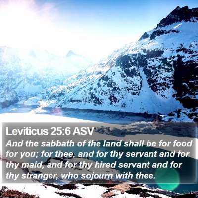 Leviticus 25:6 ASV Bible Verse Image