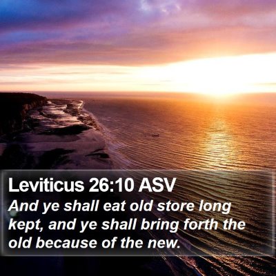 Leviticus 26:10 ASV Bible Verse Image