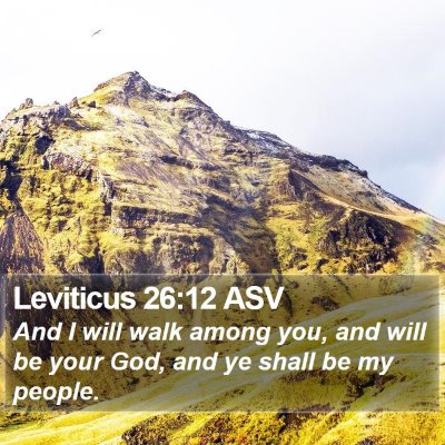 Leviticus 26:12 ASV Bible Verse Image