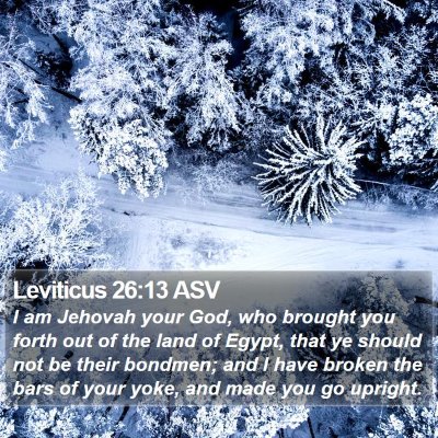 Leviticus 26:13 ASV Bible Verse Image