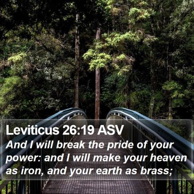 Leviticus 26:19 ASV Bible Verse Image