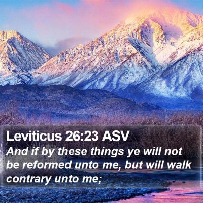 Leviticus 26:23 ASV Bible Verse Image