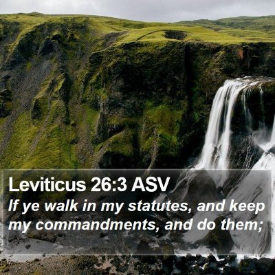Leviticus 26:3 ASV Bible Verse Image