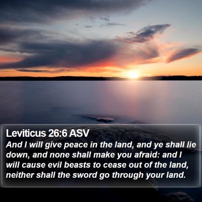 Leviticus 26:6 ASV Bible Verse Image