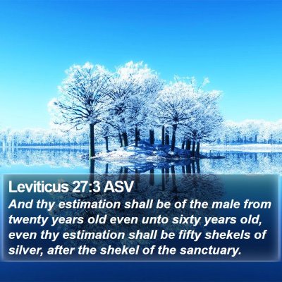 Leviticus 27:3 ASV Bible Verse Image