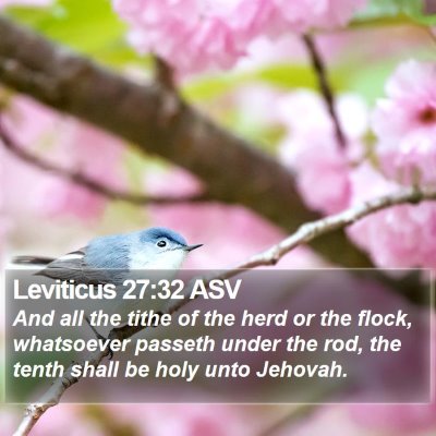 Leviticus 27:32 ASV Bible Verse Image