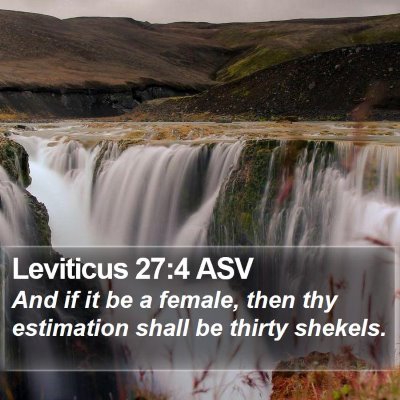 Leviticus 27:4 ASV Bible Verse Image