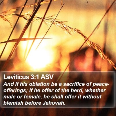 Leviticus 3:1 ASV Bible Verse Image
